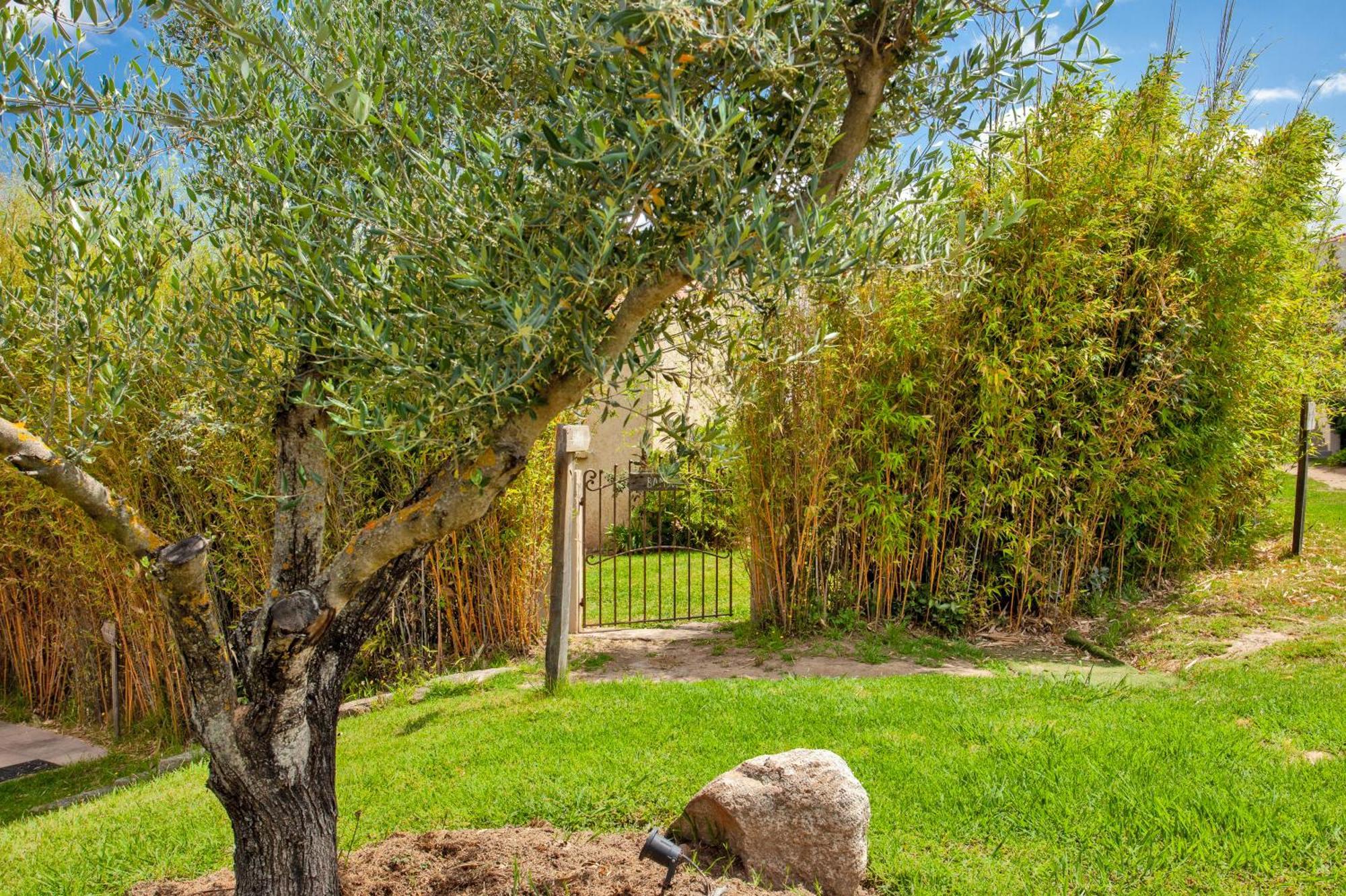 Residence Acquavital カルヴィ エクステリア 写真